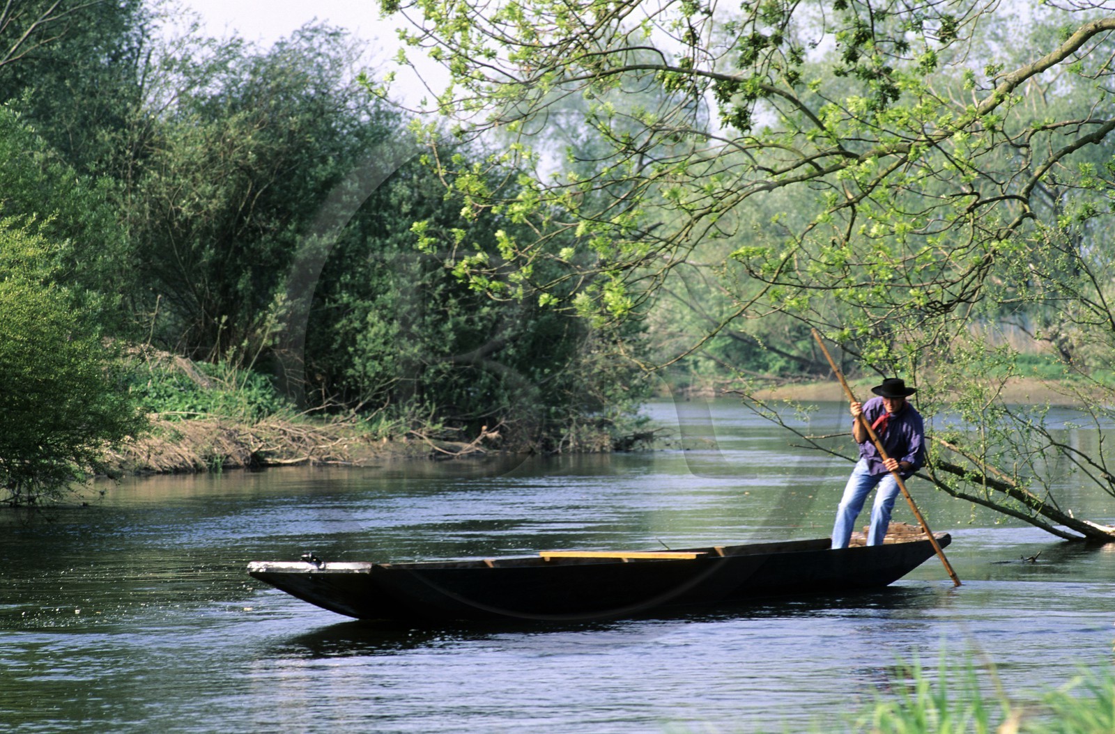 France, Bas-Rhin (67), batelier sur la rivière du Ried