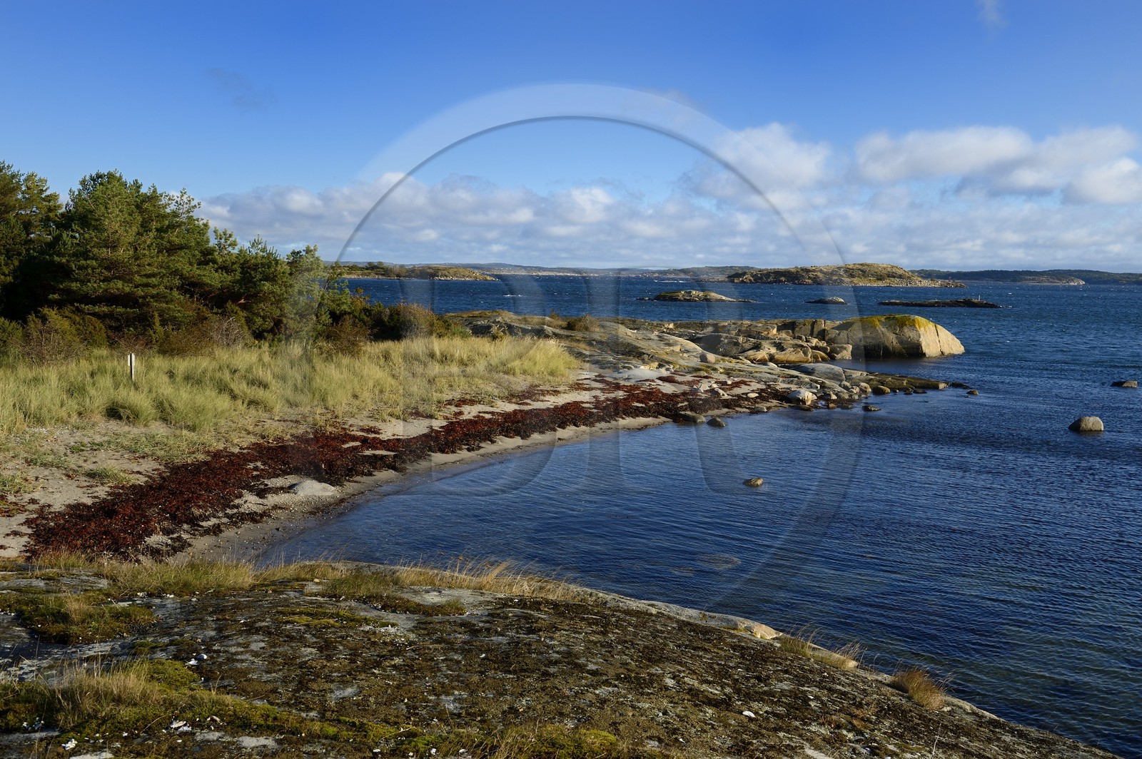 Suède, Västra Götaland, Iles Koster, plage de Sydkoster
