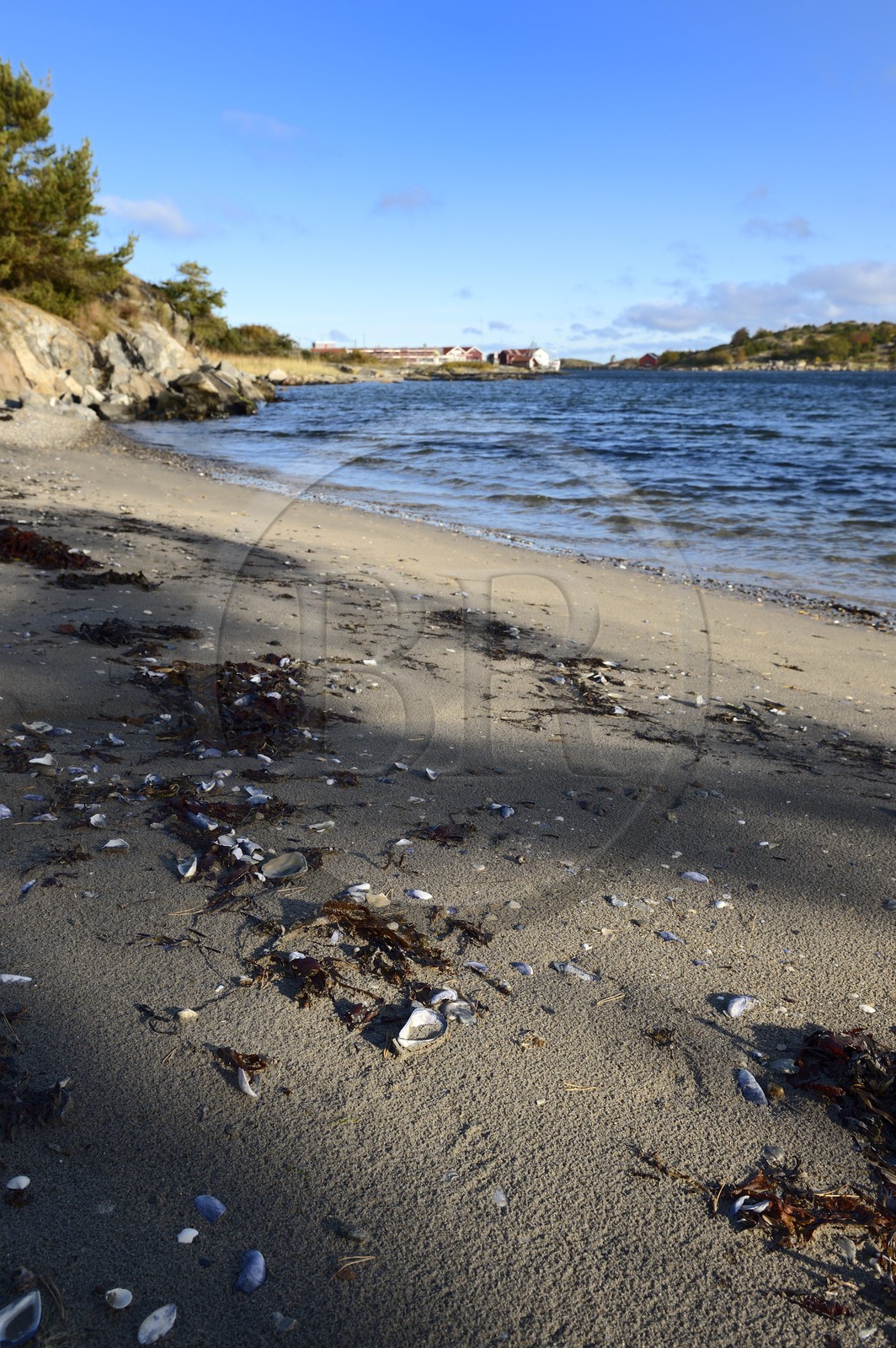 Suède, Västra Götaland, Iles Koster, plage de sable de Sydkoster au sud d'Ekenäs