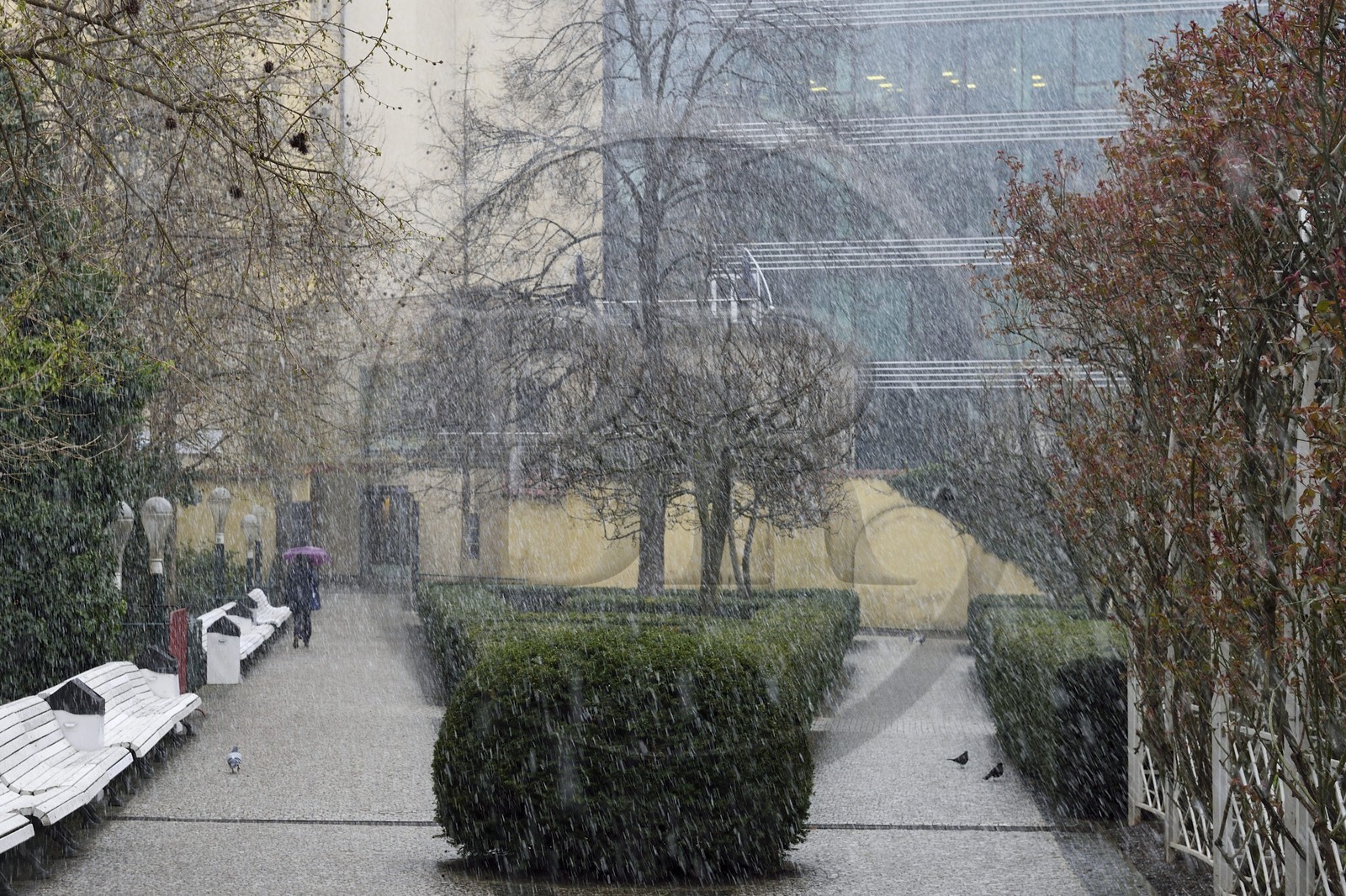 République Tchèque, Prague, Nove Mesto, jardin des franciscains (Frantiskanska zahrada)