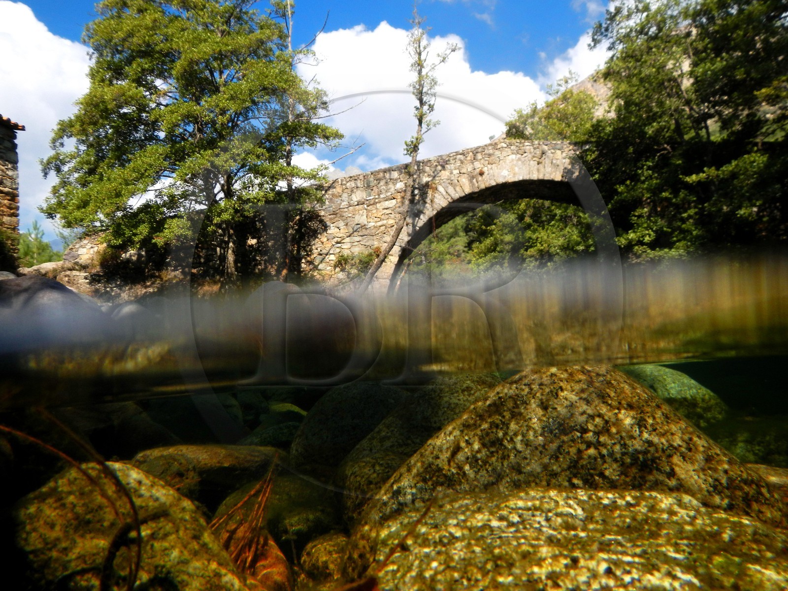 France, Haute-Corse (2B), région du Niolu (Niolo), pont génois de Murricciolu et les dessous de la rivière Calasima