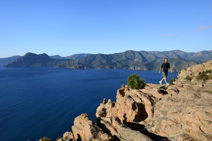 France, Corse du Sud, Golfe de Porto, listed as World Heritage by UNESCO, the Creeks of Piana (Calanches de Piana) with pink granite rocks, the Capo Senino on the left in the background