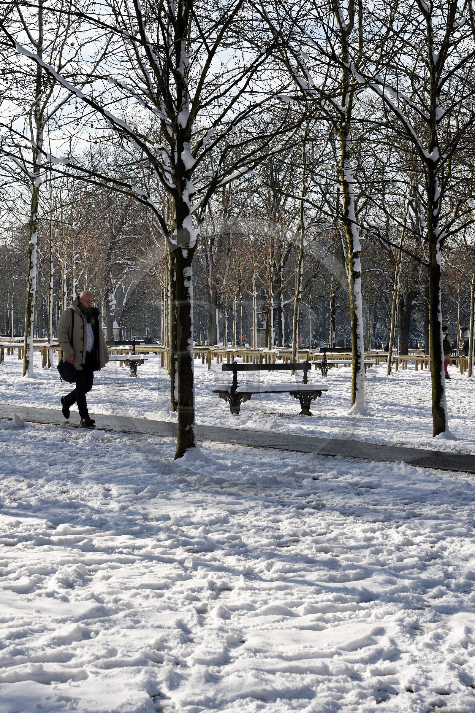 France, Paris (75), quartier Saint-Michel, promeneur dans le jardin du Luxembourg sous la neige