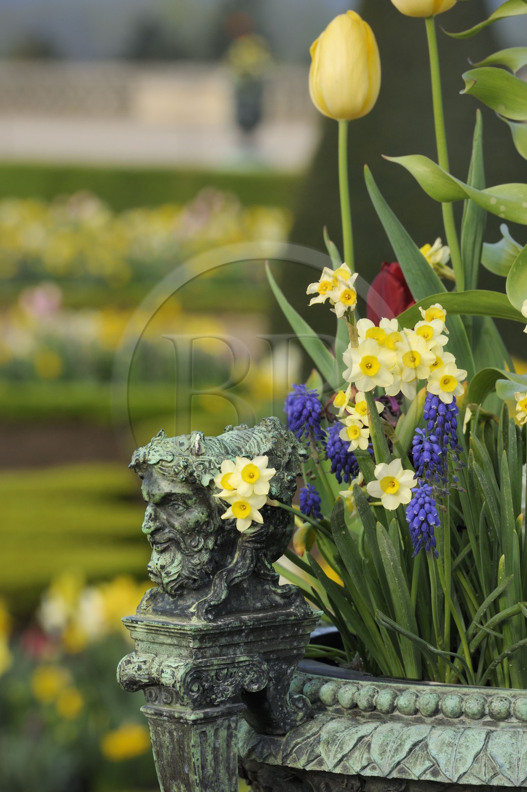 France, Yvelines (78), parc du château de Versailles, classé Patrimoine Mondial de l'UNESCO, parterre du Midi, détail d'un des vases en bronze entourant le château