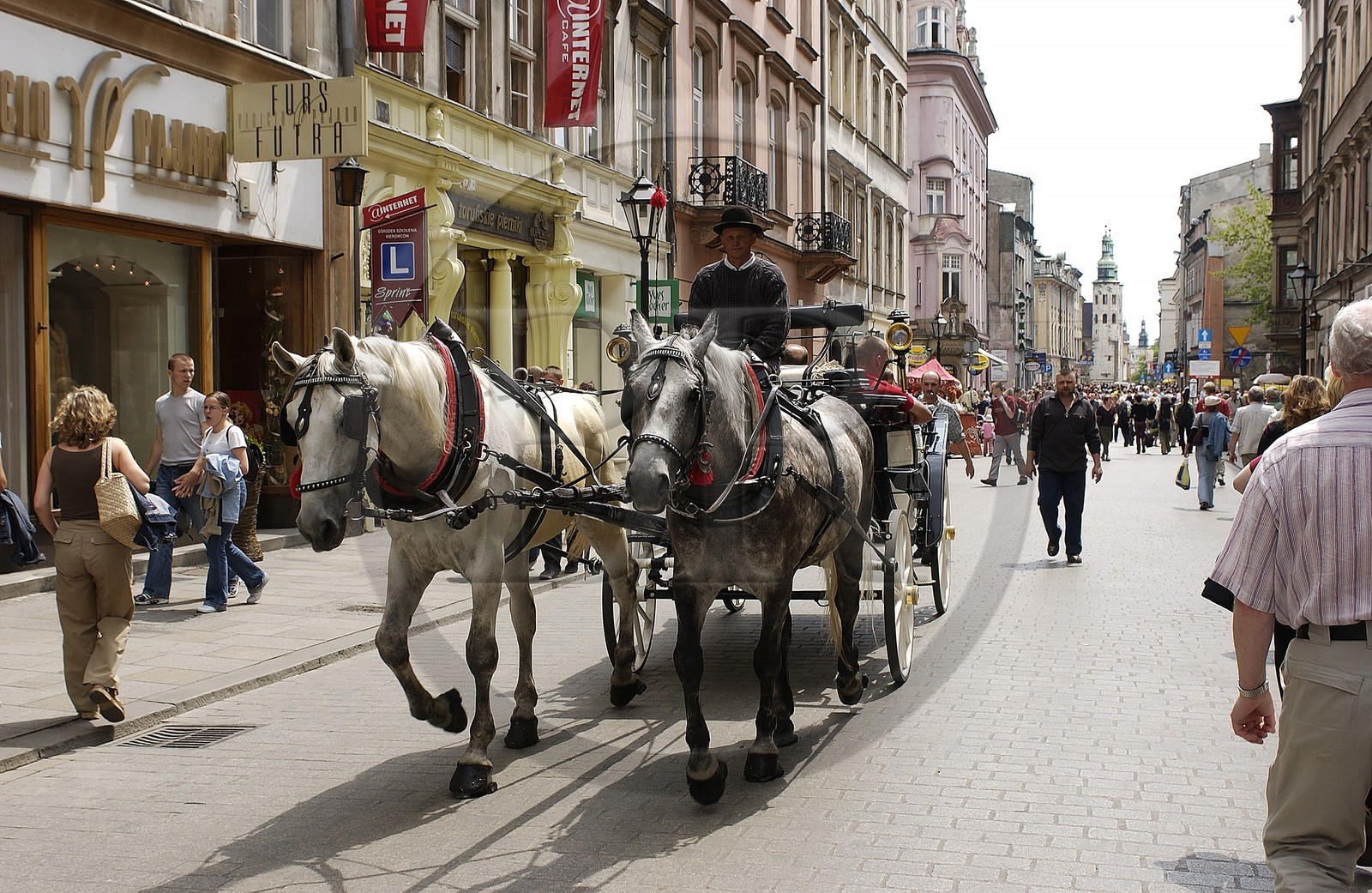 Poland, Lesser Poland region, Krakow, old town (Stare Miasto), horse attachment for tourist walks