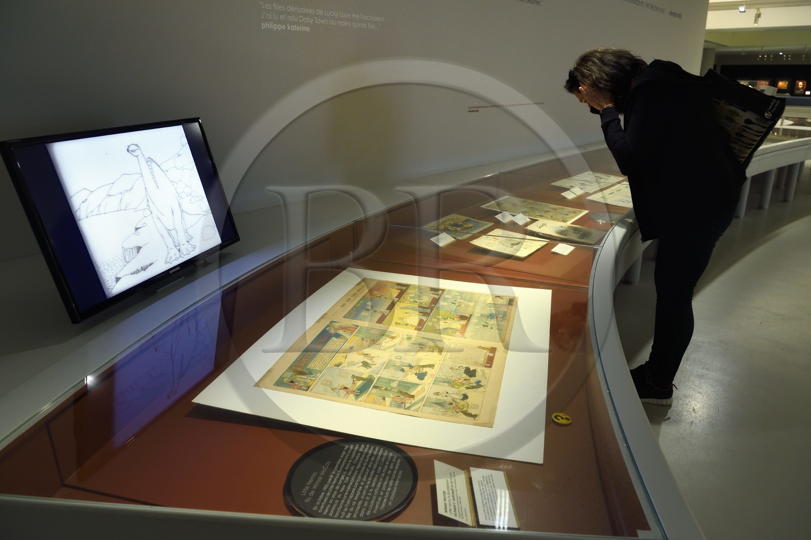 France, Charente, Angouleme, Cité internationale de la bande dessinée et de l’image (CIBDI)(International city of comics and images), the comic museum in the former Magelis cellars, Little Nemo de Windsor McCay (1906)