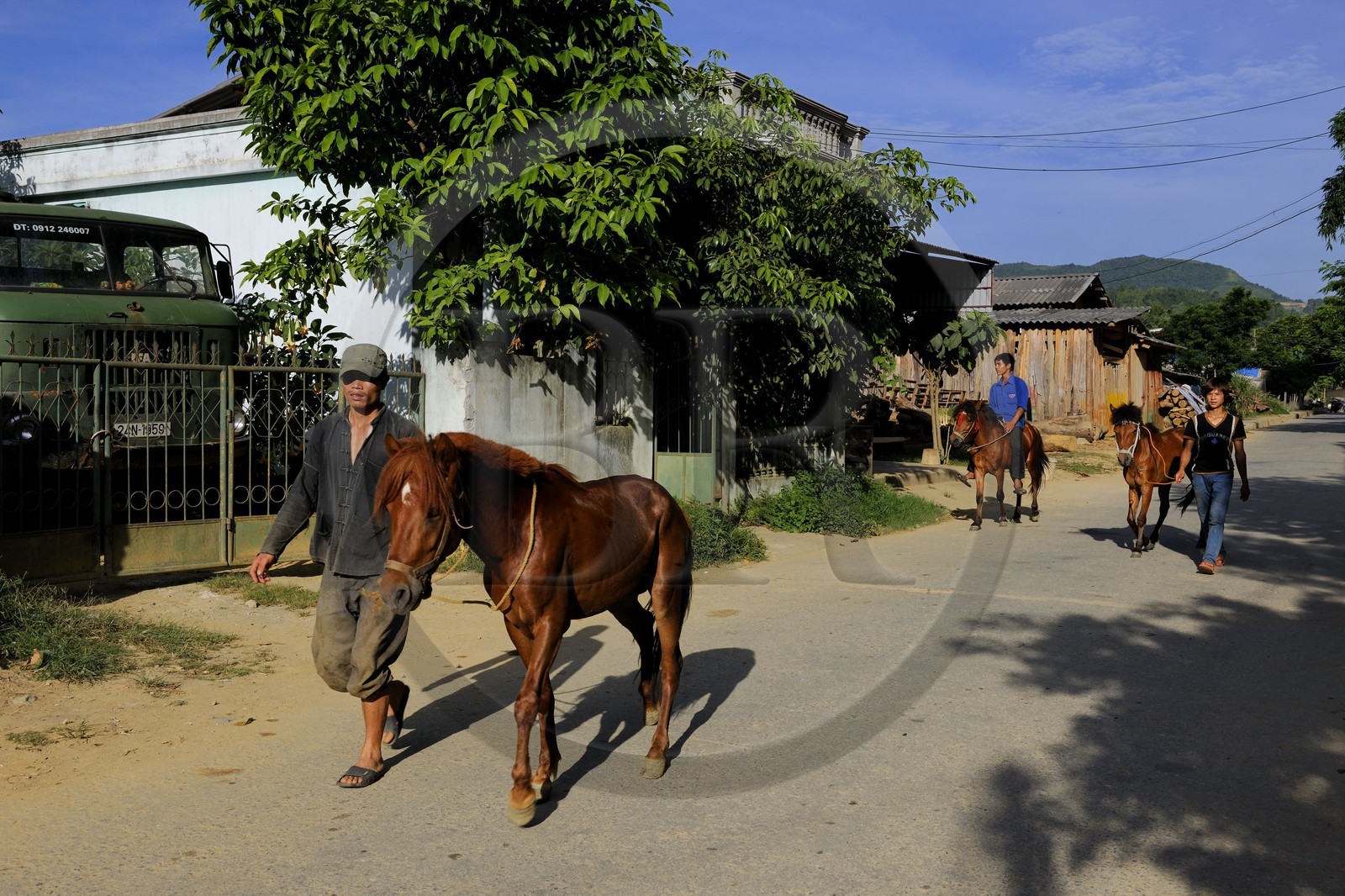 Vietnam, province de Lao Cai,Bac Ha, cavaliers et leurs chevaux