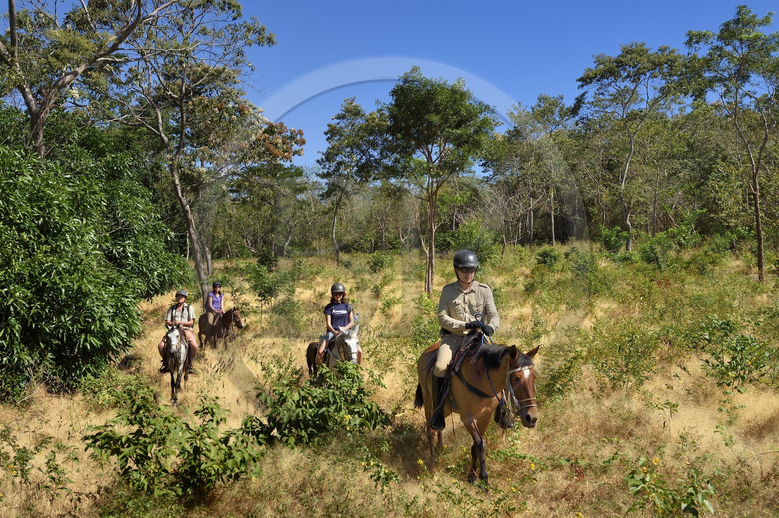 Nicaragua, Ile d'Ometepe sur le lac Nicaragua, cavaliers en randonnée sur les pentes du volcan Maderas